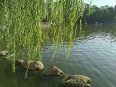 -莲湖公园