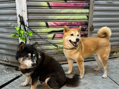 -岚·石(赤柱店)