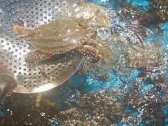 -隐厨·海鲜大排档·老鲁菜(恒通路店)