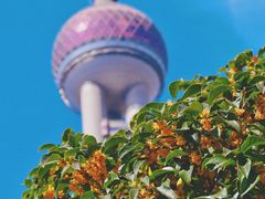 -东方明珠广播电视塔