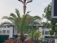 -打洛口岸