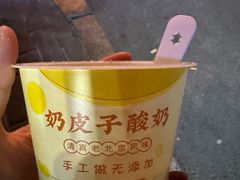 -紫光园·烤鸭(美术馆店)
