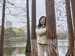 -重庆彩云湖湿地公园