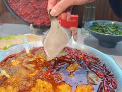 -渝大龙重庆火锅(温泉月亮湾店)