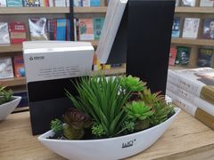 -空港书屋(鄂尔多斯伊金霍洛国际机场店)