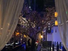 -绿茶餐厅(朝阳大悦城店)