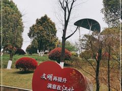 -铁山坪森林公园