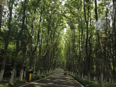 -宜兴龙背山森林公园