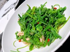 龙须苗拌桃仁-徐记海鲜(丰庆店)