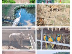 -西霞口神雕山野生动物世界