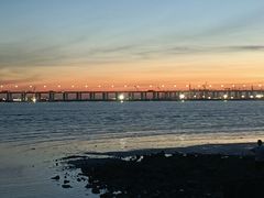 -宝安西湾红树林湿地公园