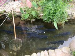 -万景饭店·鱼街农家菜