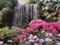 -上海辰山植物园