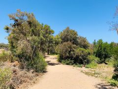 -威勒比开放式动物园