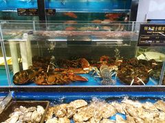 水产区-神洲四海大酒楼(王府井澳门中心店)