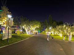 -祥源·阜阳生态乐园