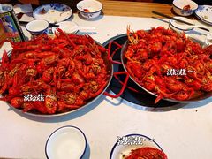 -海岛八号龙虾烧烤田鸡(蓝天路总店)