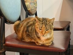 -广记海鲜(杨汊湖一店)