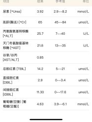 -苗塑堂减肥·艾灸