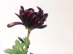 -汇龙潭