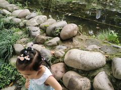 -成都市活水公园
