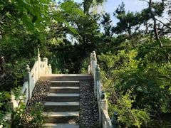 -日照海滨国家森林公园