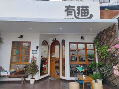 -有猫主题·治愈系猫咖(曾厝垵店)