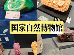 -国家自然博物馆