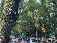 -桂林两江四湖景区