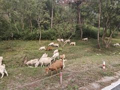 -南京市无想山景区