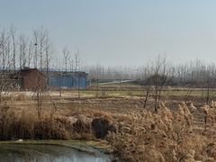 -罗卜李包子羊肉汤