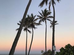 -黄金海岸