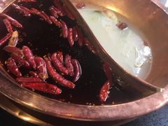 鸳鸯锅-宽巷子成都火锅(南站店)