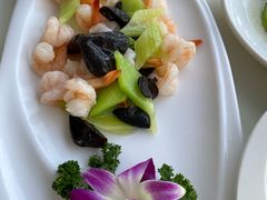 -云中小雅