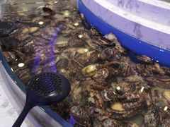 -澜悦港海鲜体验主题餐厅