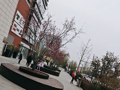 -中粮·祥云小镇