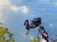 -新疆天山野生动物园