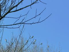 -蜀冈西峰生态公园