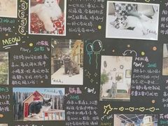 -小时光咖啡馆(开森度假森林店)