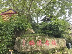 -广东天露山旅游度假区