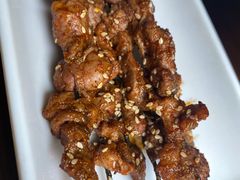 生烤羊肉串-沙力海(北大街店)