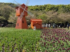 -苏州上方山国家森林公园
