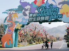 -西安秦岭野生动物园