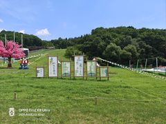 -吉林市朱雀山国家森林公园