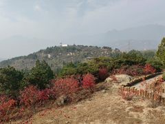 -白水寺森林公园