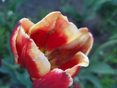 -长春公园(普阳街道)