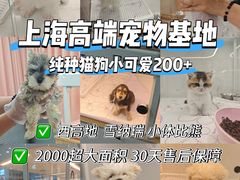 -翊宠yipet猫狗购宠庄园