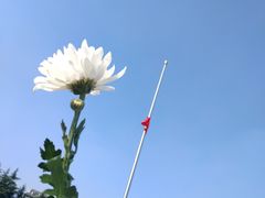 -侵华日军南京大屠杀遇难同胞纪念馆