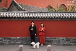 点击看大图 -绽放摄胶片摄影工作室