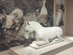 -宁夏博物馆
